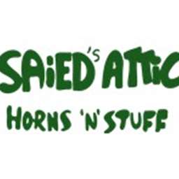 Saied Attic Used Instruments