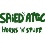 Saied Attic