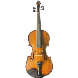 Violins