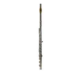 Gemeinhardt KG Special Semi Professional Flute