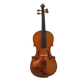 Giuseppe Galiano VL7G 4/4 Professional Violin Outfit