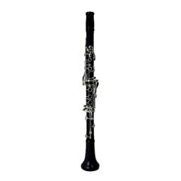 Backun Protégé Intermediate Bb Clarinet