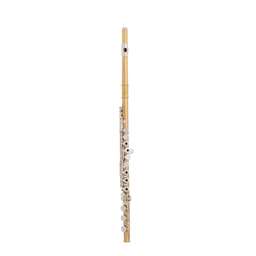 Trevor James CA-HROE Copper Alloy Intermediate C Flute