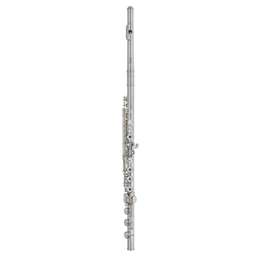Wm. S. Haynes Q2-OB Q Series Professional C Flute