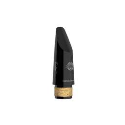 Selmer Paris Echo Bb Clarinet Mouthpiece